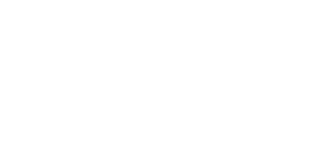 Franco Pisso
